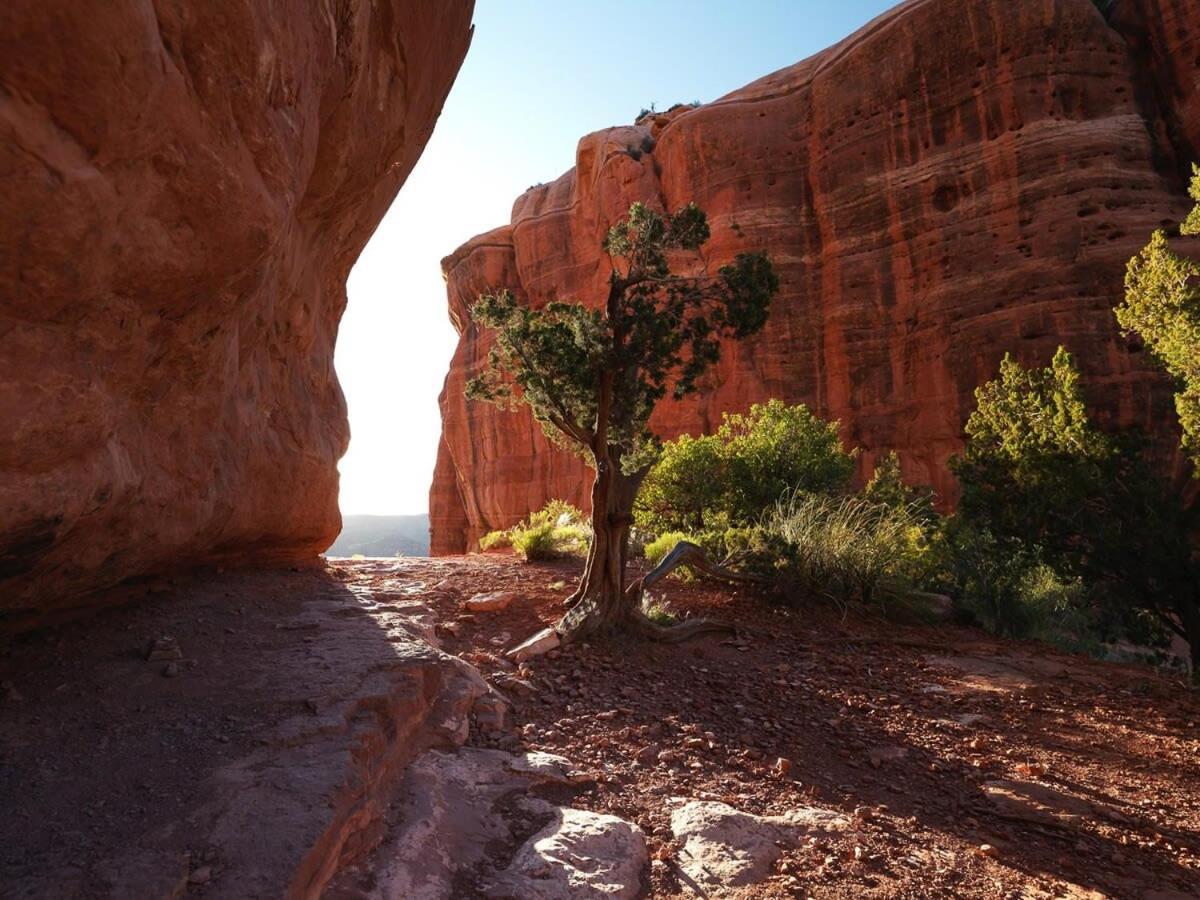 Cobalt Cabin Gateway To Grand Canyon Sedona & More Villa Williams Exterior photo