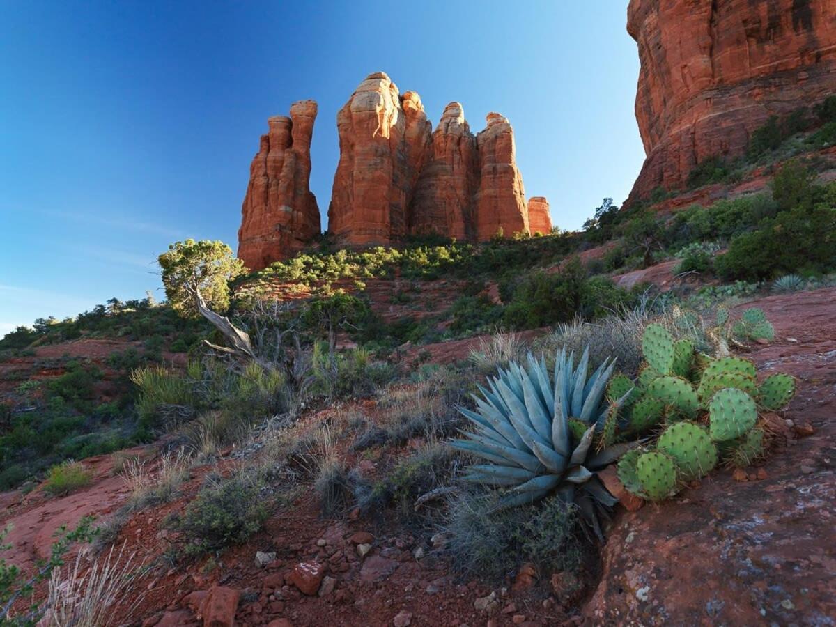 Cobalt Cabin Gateway To Grand Canyon Sedona & More Villa Williams Exterior photo